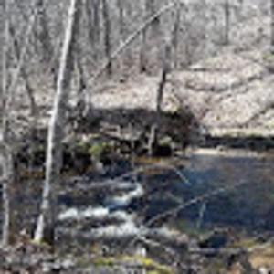 Meet your Posher, Jon